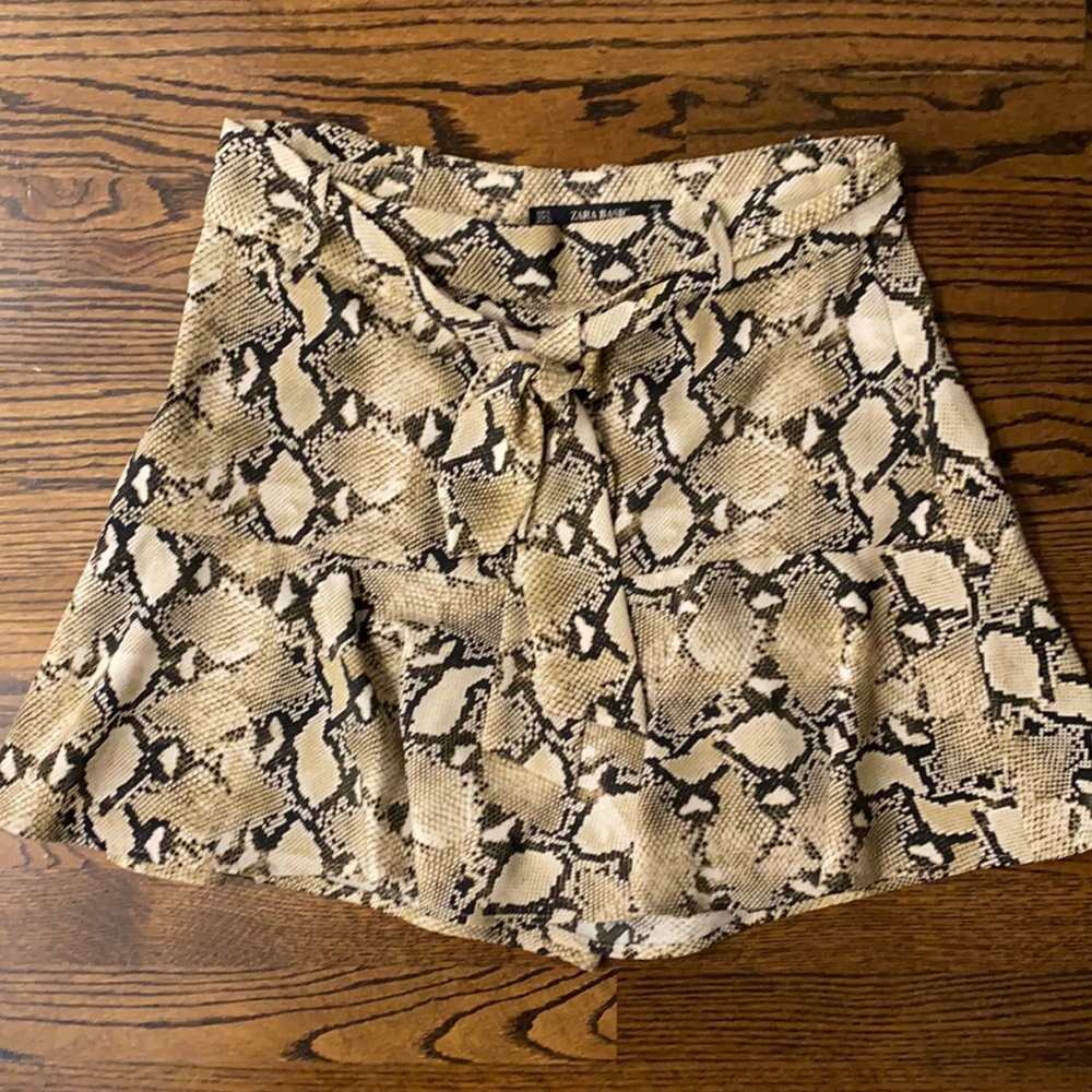 Zara Skirt